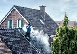 Roof Cleaning Services